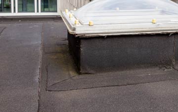 disadvantages of Lulham flat roofs
